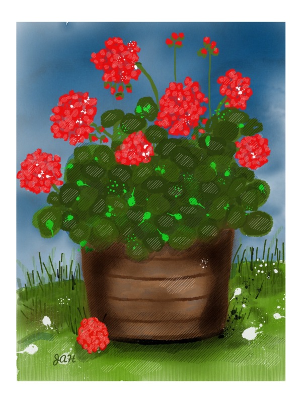 We have beautiful red geraniums blooming and the most delicious pink ones, also. I just love to paint geraniums in different ways on my iPad. This was done in the Sketches Pro app.